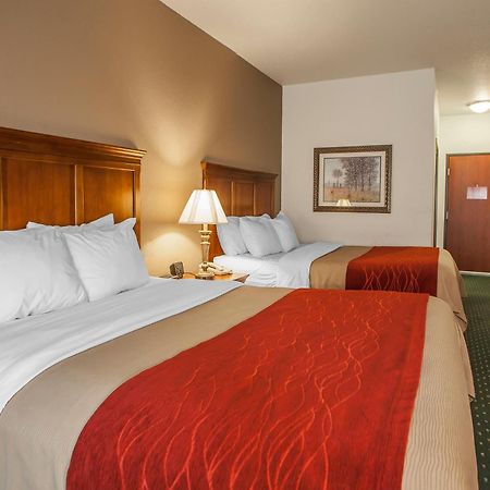 Comfort Inn & Suites Davenport - Quad Cities Bagian luar foto